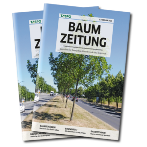Mochup Magazin BZ